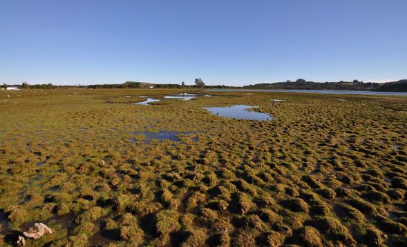 Aprueban creación de dos santuarios de la naturaleza en ríos Maipo y Maullín, Chile