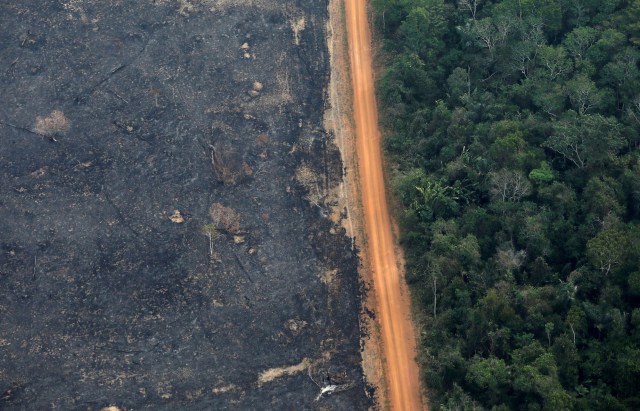 amazonas