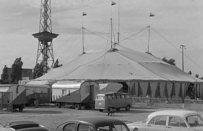 El arte circense: Las estrellas de circo más salvajes, peludas, fuertes y elásticas bajo la carpa (Fotos)