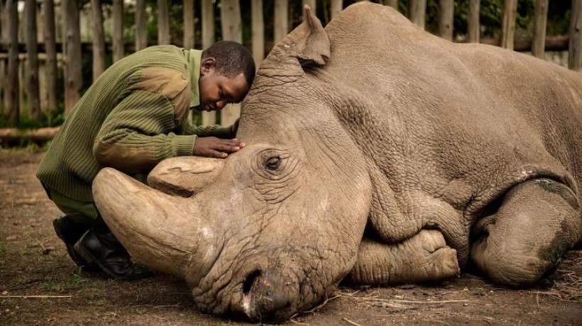 La desgarradora historia detrás de la foto de la década de National Geographic