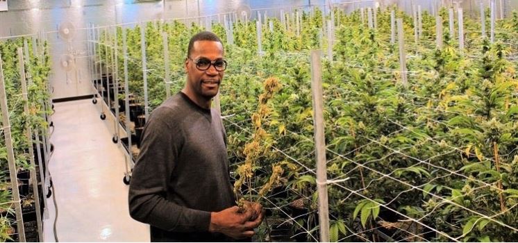 Ex estrella de la NBA que defendió el consumo de marihuana y ahora la distribuye