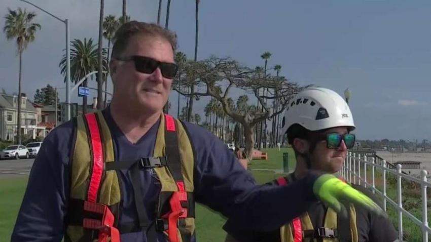 Trabajadores encuentran cenizas humanas robadas en Long Beach