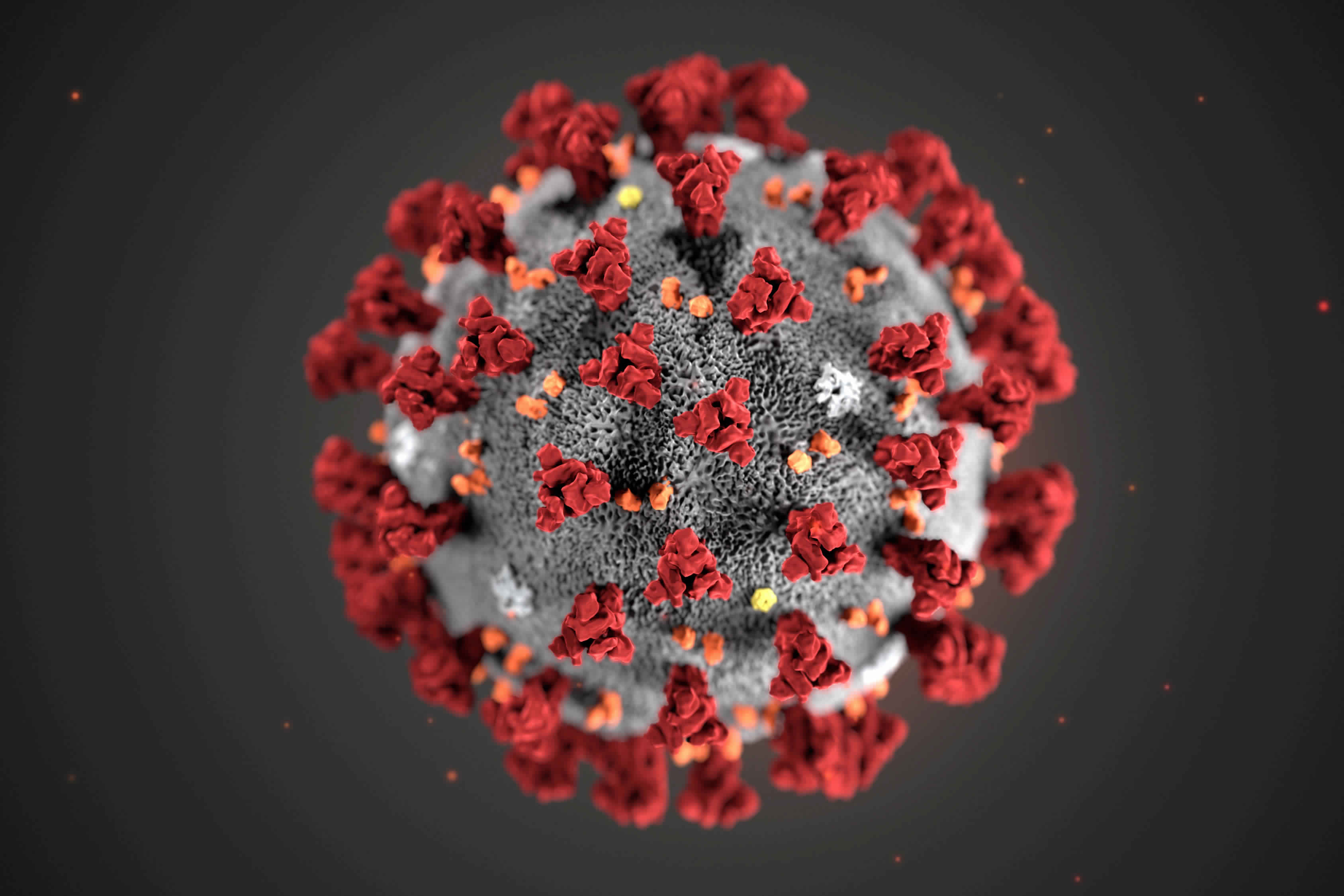 Identifican en Reino Unido una nueva variante de coronavirus