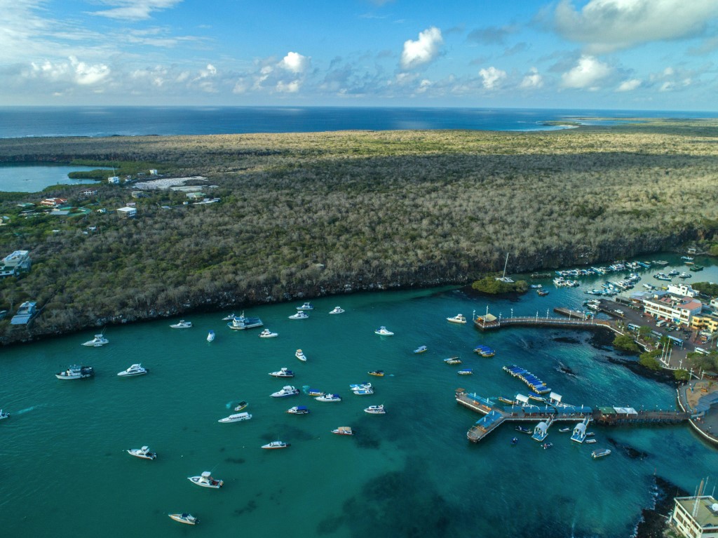 Cálculan en 1,2 billones dólares las pérdidas turismo mundial por coronavirus