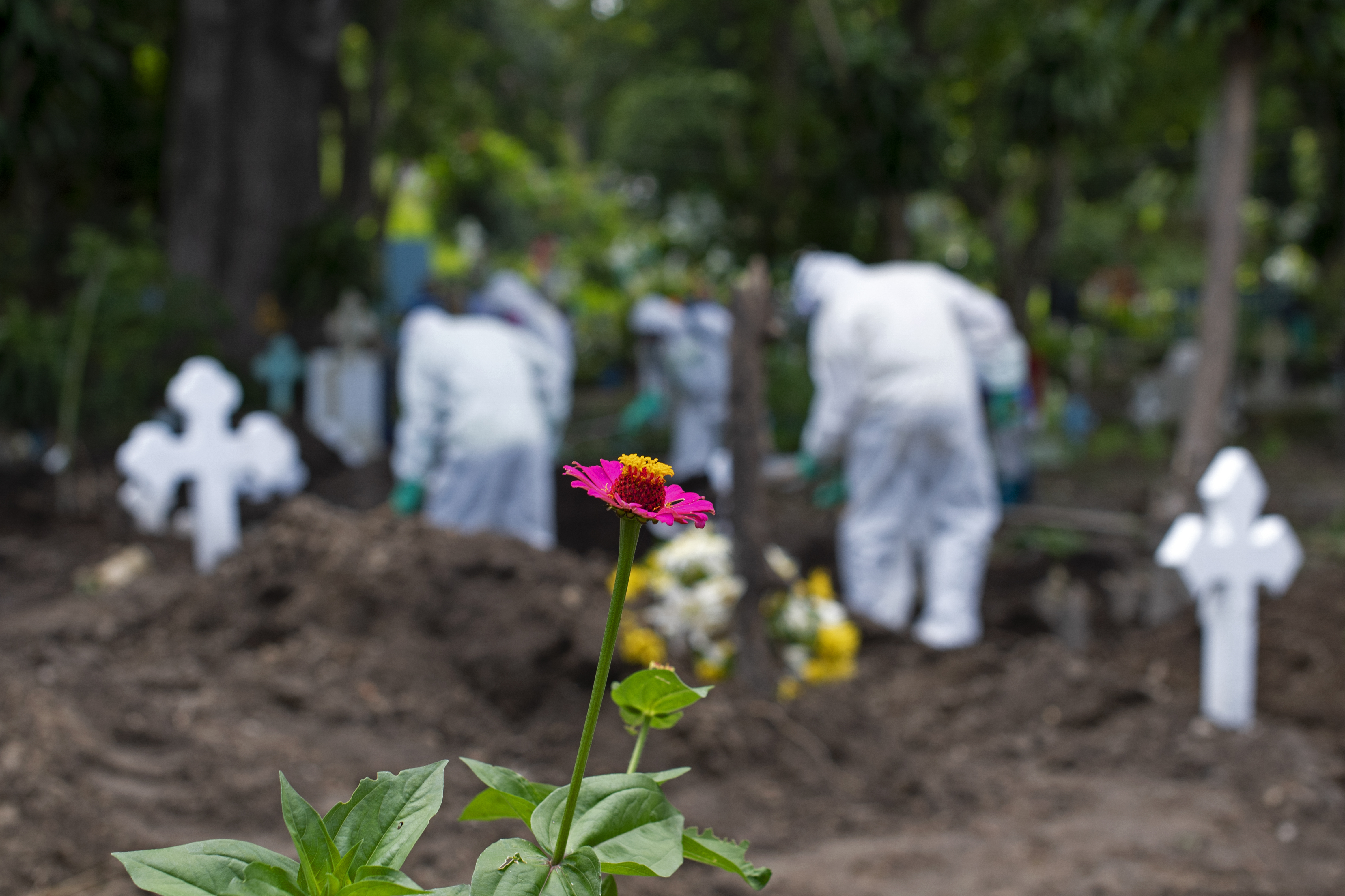 La pandemia golpea fuerte a EEUU y sigue acelerándose en América Latina