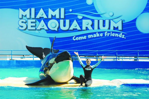 Miami Seaquarium cerró nuevamente tras el aumento en los casos de coronavirus