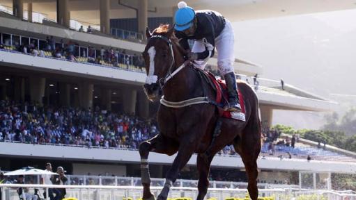 ¡Devastador! Hallan muerto tras secuestro a Ocean Bay, el caballo doble coronado y estrella del hipismo venezolano