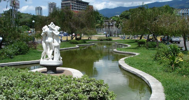 ¡Barbaridad! Talaron los emblemáticos sauces llorones de la plaza Las Tres Gracias de la UCV (Fotos)