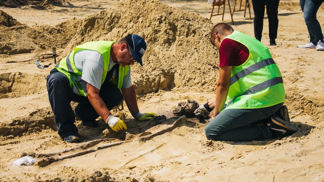 El ATERRADOR descubrimiento de unos arqueólogos en una fosa común de los siglos XVI y XVII en Polonia (Fotos)