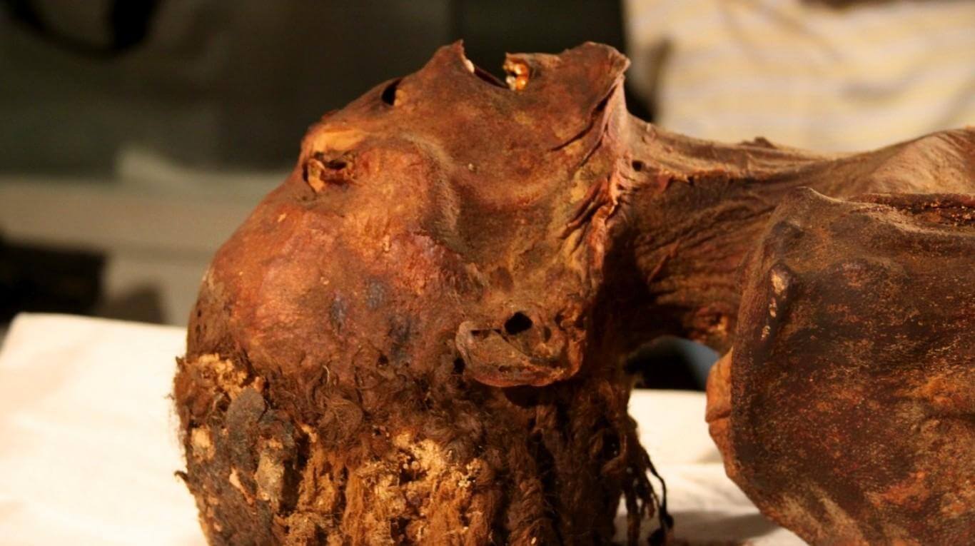 “La momia que grita”: Cómo murió la princesa egipcia de hace 3.000 años y el porqué de su inquietante expresión (Fotos)