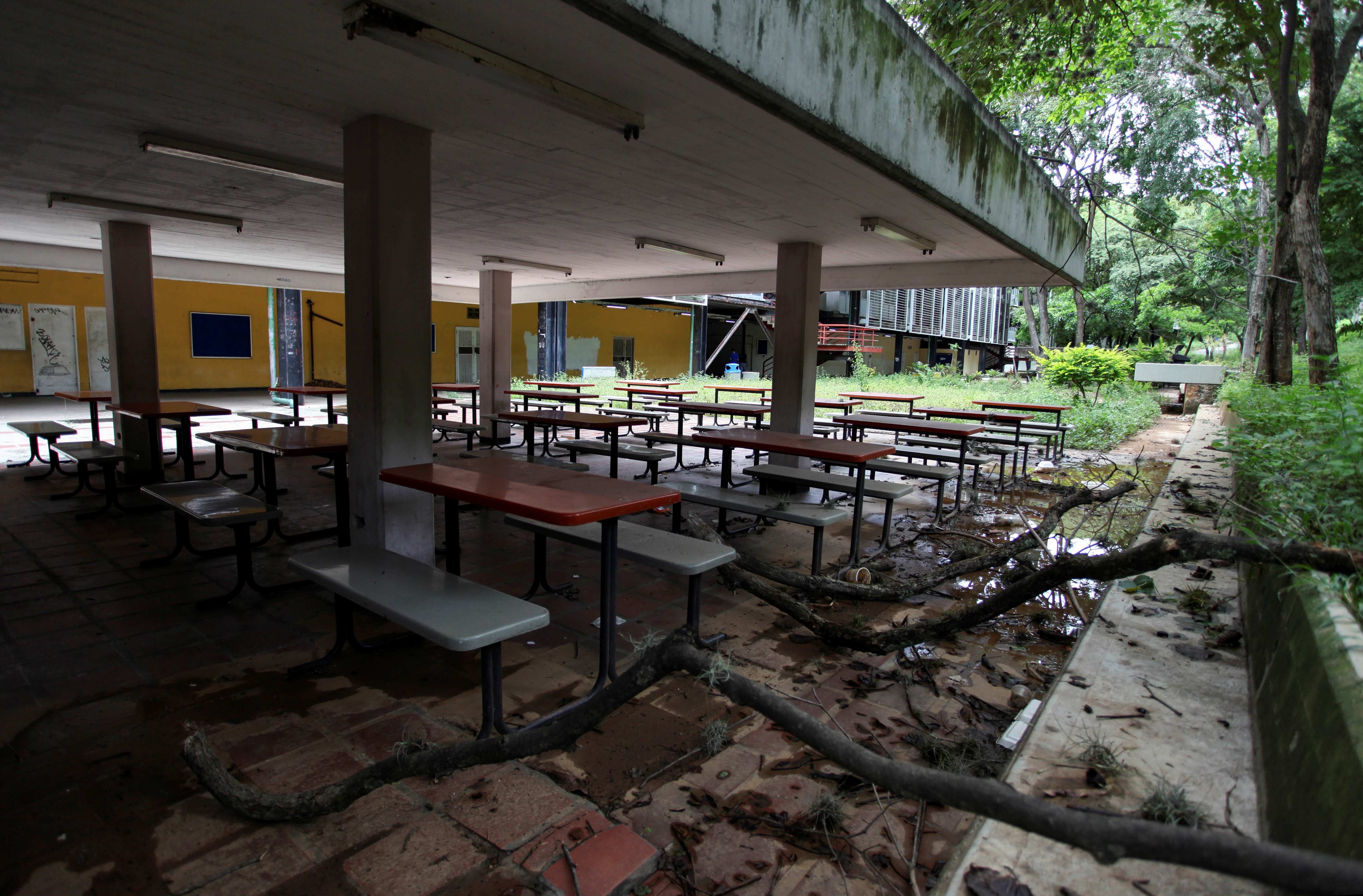 El régimen de Nicolás Maduro paralizó por completo la educación pública