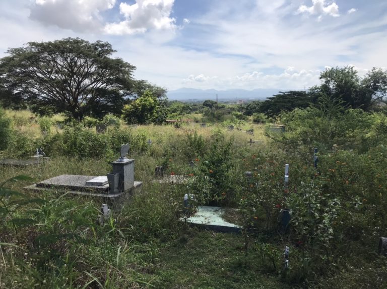 Cementerio de Valencia en total abandono: “No atienden a los vivos, mucho menos a los muertos” (FOTOS)