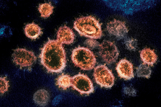 ¿Por qué el coronavirus se propaga ahora con tanta velocidad?