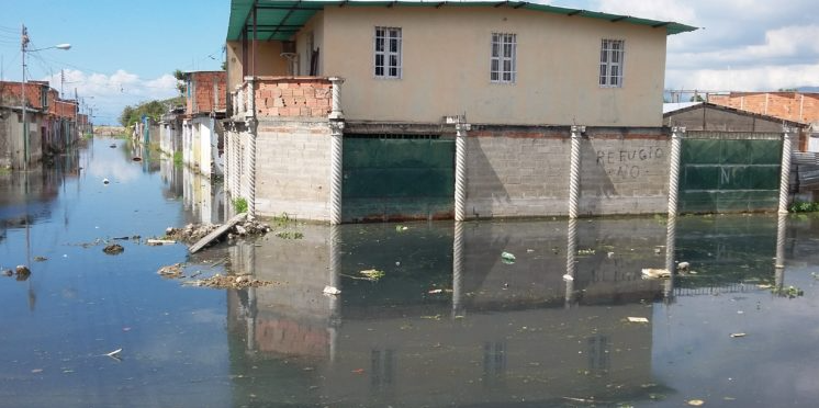 Agua negra hasta los tobillos: En Maracay sobreviven entre enfermedades y la desidia (Video)