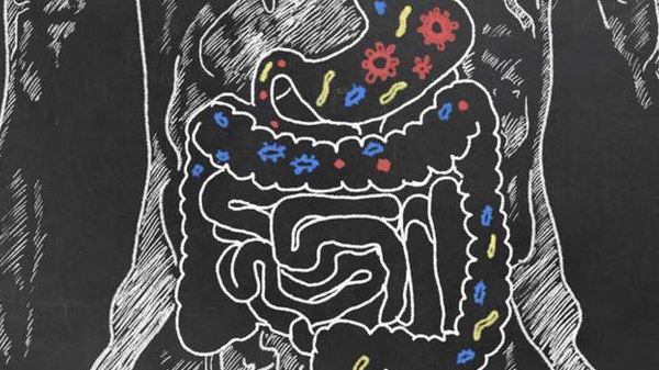 La flora intestinal puede influir en la gravedad del coronavirus, según estudios