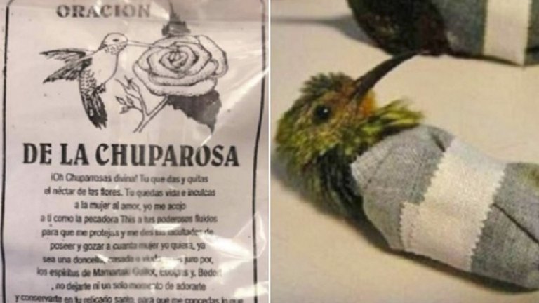 La otra cara de San Valentín en México: Denuncian sacrificios de animales en rituales y hechizos de amor