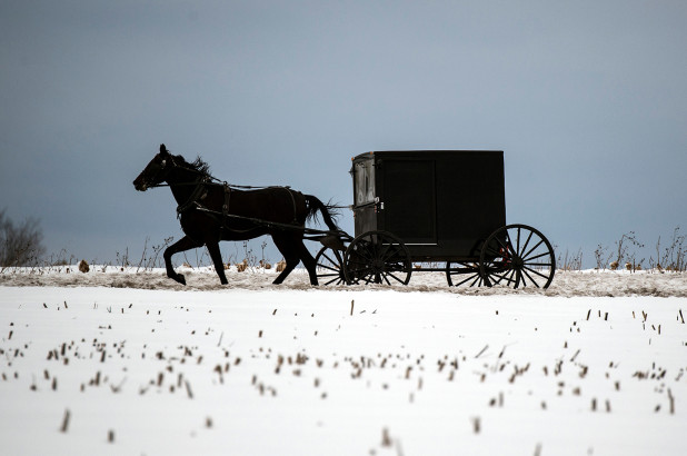 Una comunidad amish puede haber alcanzado la “inmunidad colectiva” de Covid-19, dice un funcionario de salud