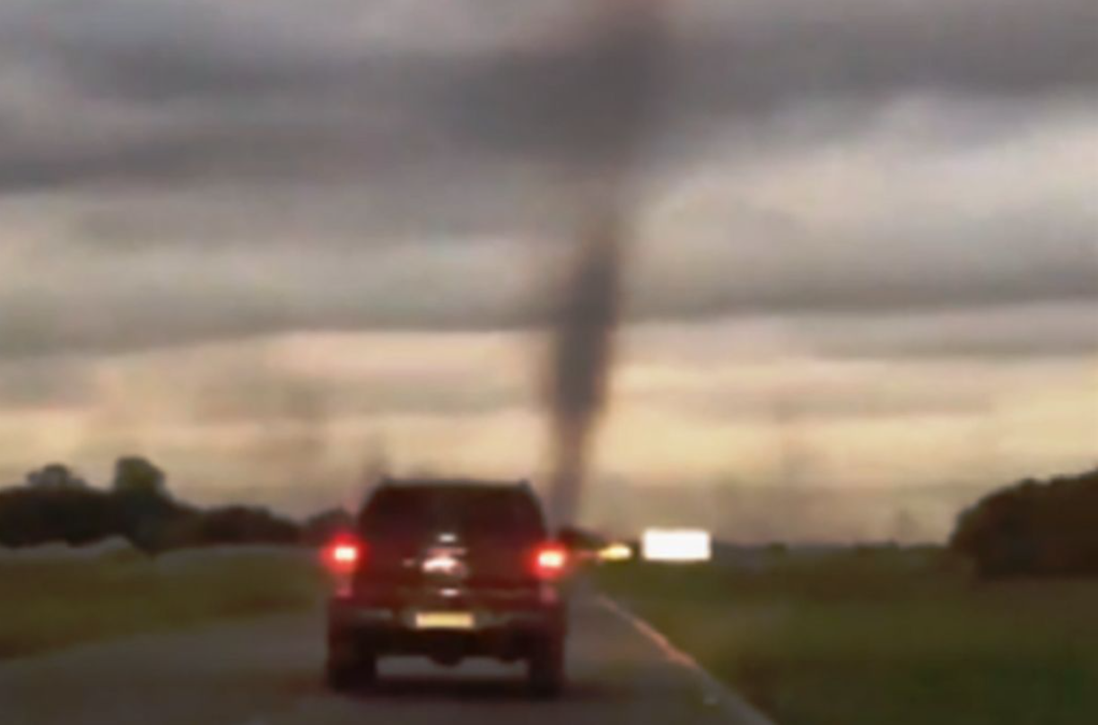 “Tornado de mosquitos”: Un enjambre de insecto generó terror en Argentina (VIDEO)