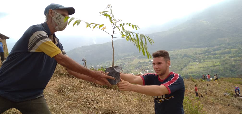 Proyecto Aqua conmemorará el Día del Árbol reforestando en Carabobo