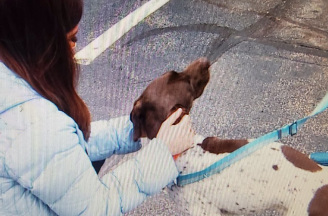 Periodista informaba el robo de un perro y en pleno reportaje atrapó al culpable