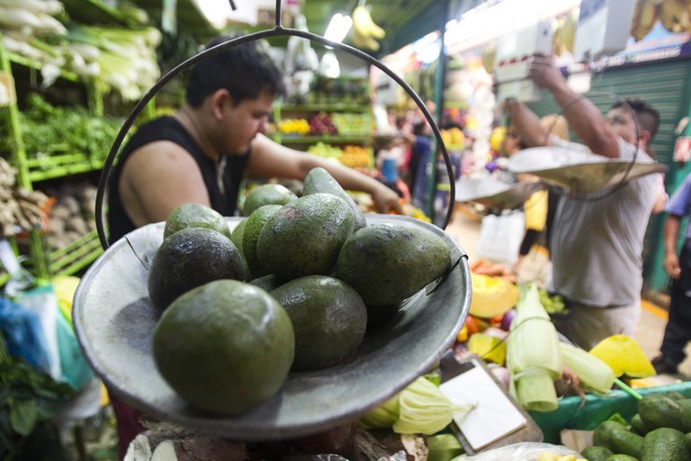 El oro verde culinario: Estos son los seis beneficios de comer aguacate a diario