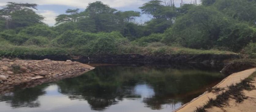 Otro derrame de crudo afecta el ecosistema de las playas de Falcón (Fotos)