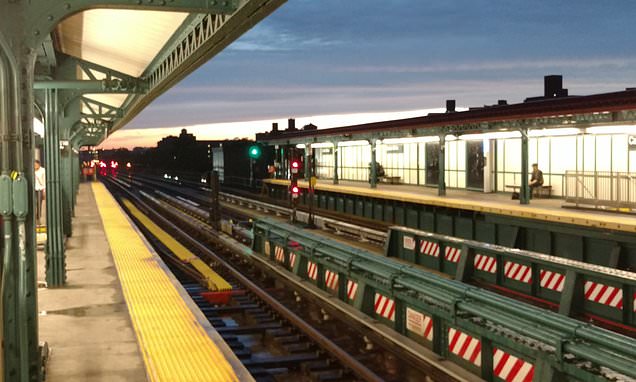 Hombre murió decapitado por un tren en Nueva York