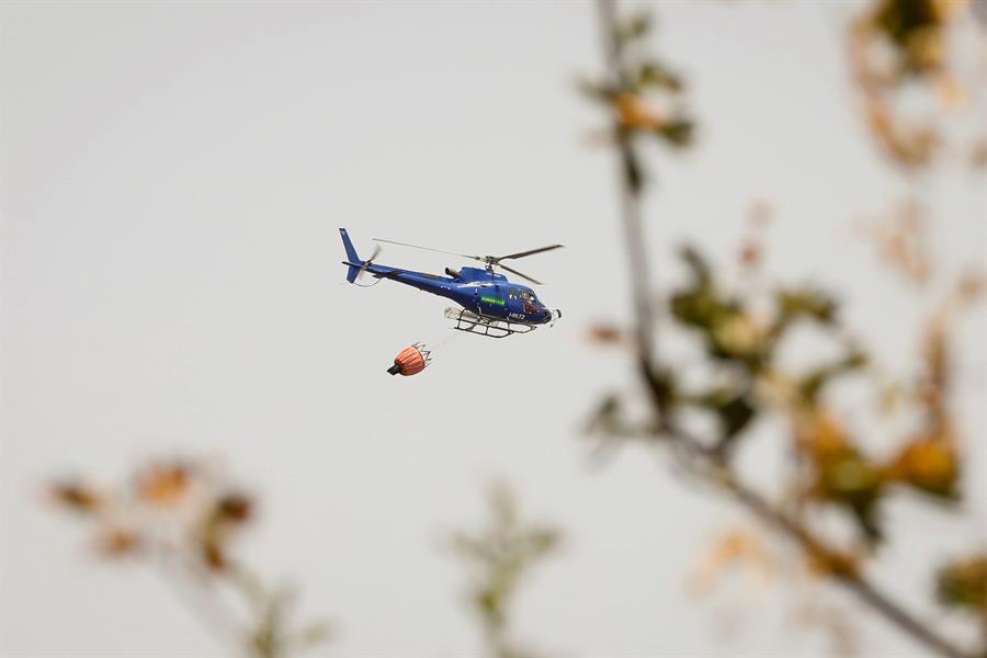 Italia en llamas: Al menos 11 mil hectáreas son consumidas por las brasas en Calabria