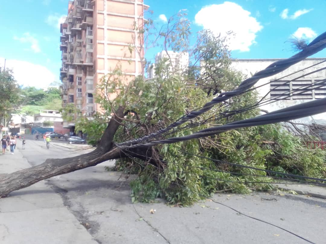 Lluvias dejan 30 viviendas afectadas en todo el estado Miranda