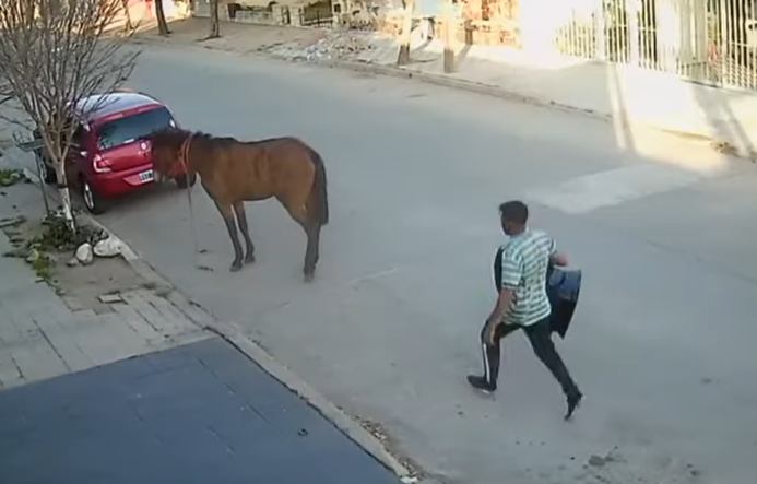 Insólito robo en Argentina: Rompió el vidrió del carro, sacó una silla de bebé y escapó a caballo (VIDEO)