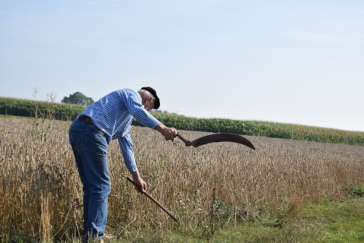 UNT: Sector agroalimentario, el primer semestre de este año estuvo marcado por un deterioro progresivo