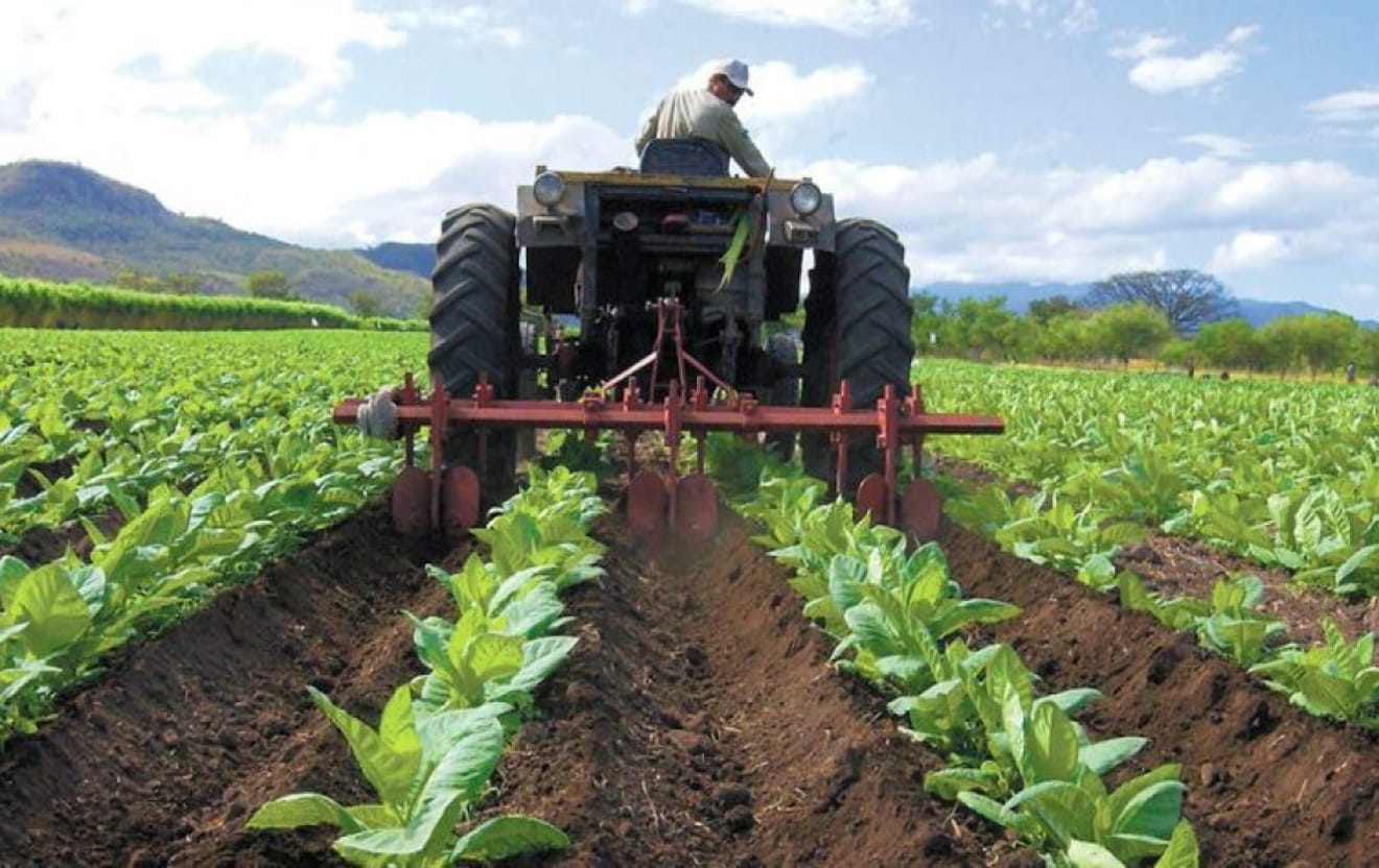 Siete claves para que el sector agrícola venezolano pueda seguir creciendo