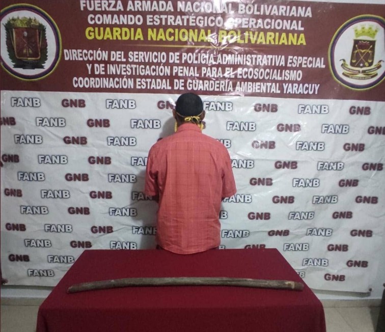 Detenido sujeto que mató a garrotazos a la mascota de un vecino en Yaracuy