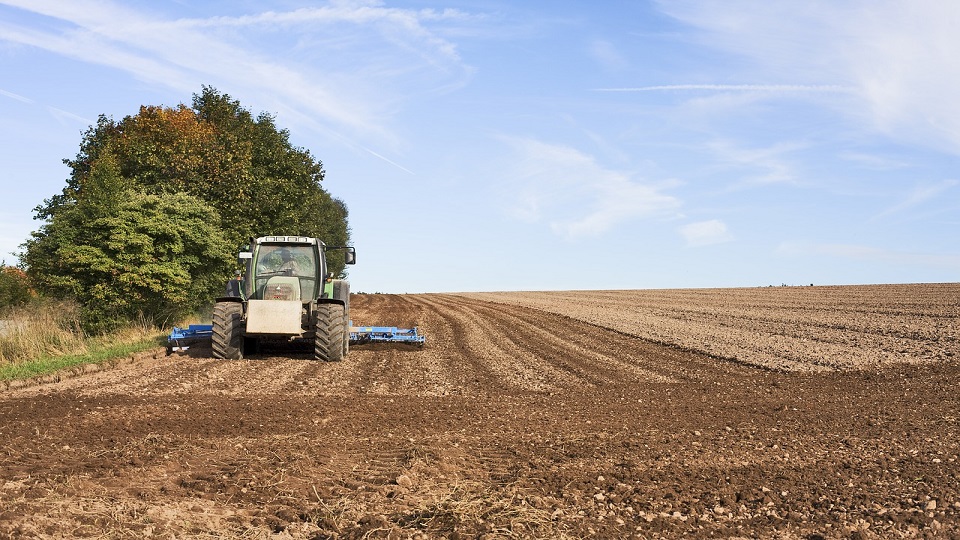 Fedeagro: En los estados productivos del país hay una escasez de diésel de al menos 70%