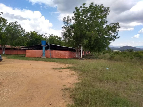 ¡Siguen las invasiones! Chavistas se apoderaron de forma ilegal de una granja en Barquisimeto (FOTOS)