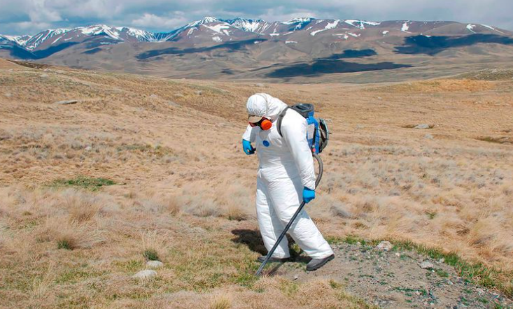 La horrible peste negra podría regresar gracias al cambio climático, advierte un importante médico