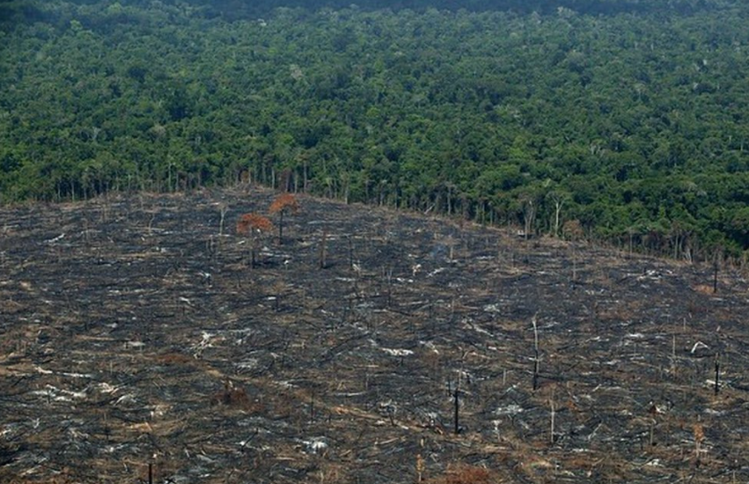 La deforestación en la Amazonía brasileña alcanza su peor nivel desde 2006