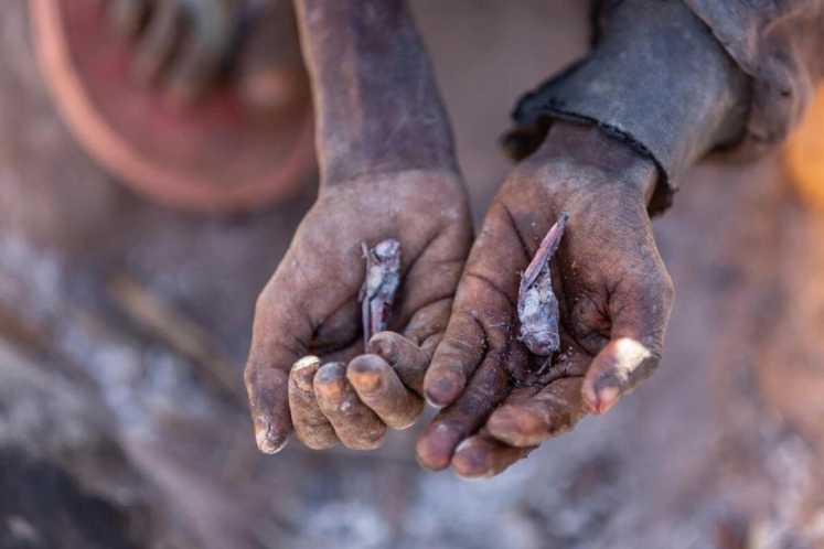 La ONU advirtió que más de 45 millones de personas en el mundo se encuentran al borde de la hambruna por la pandemia