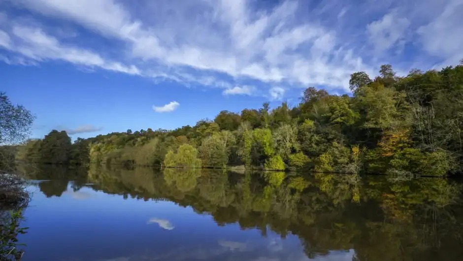 ¿Tiburones venenosos? El curioso descubrimiento en las profundidades del río Támesis