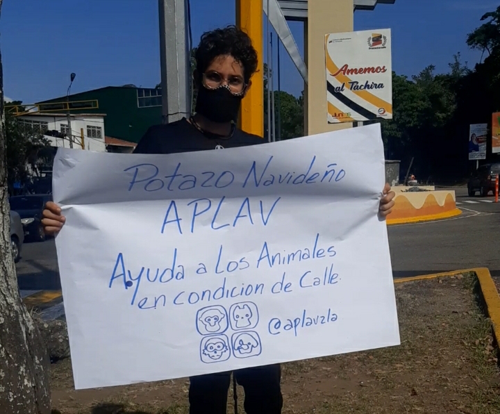 El abandono de mascotas se multiplica sin control en San Cristóbal