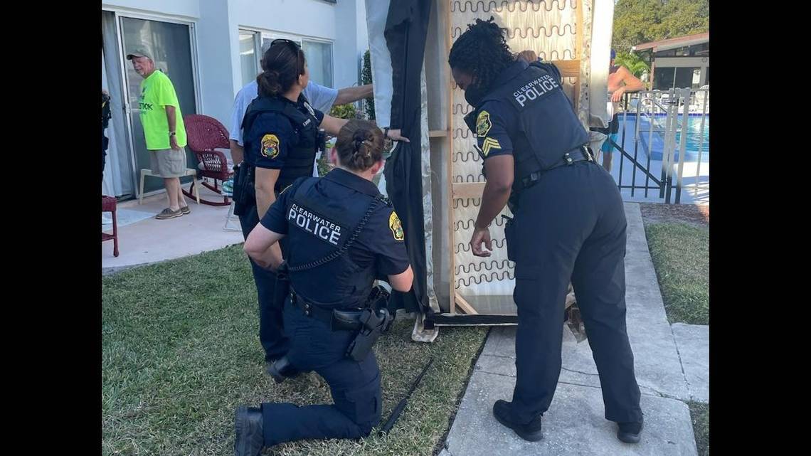 Perturbador hallazgo: Compró un sofá en Florida pero descubrió que era el hábitat de una enorme serpiente