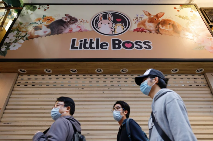 Hong Kong sacrificará dos mil animales tras detectar un caso de Covid-19 en una tienda de mascotas