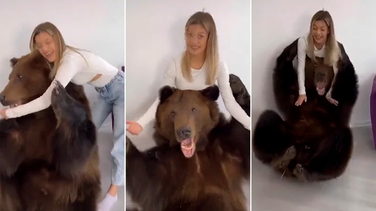 VIRAL: Tiktoker llevó a un ENORME OSO a su apartamento para entretener a su hijo (VIDEO)