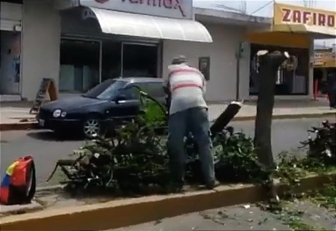 En Lara, el chavismo practica ecocidio indiscriminado para su nuevo “negocio redondo” (Detalles)