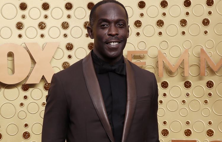 Narcotraficante se declaró culpable de vender heroína con fentanilo al actor Michael K. Williams