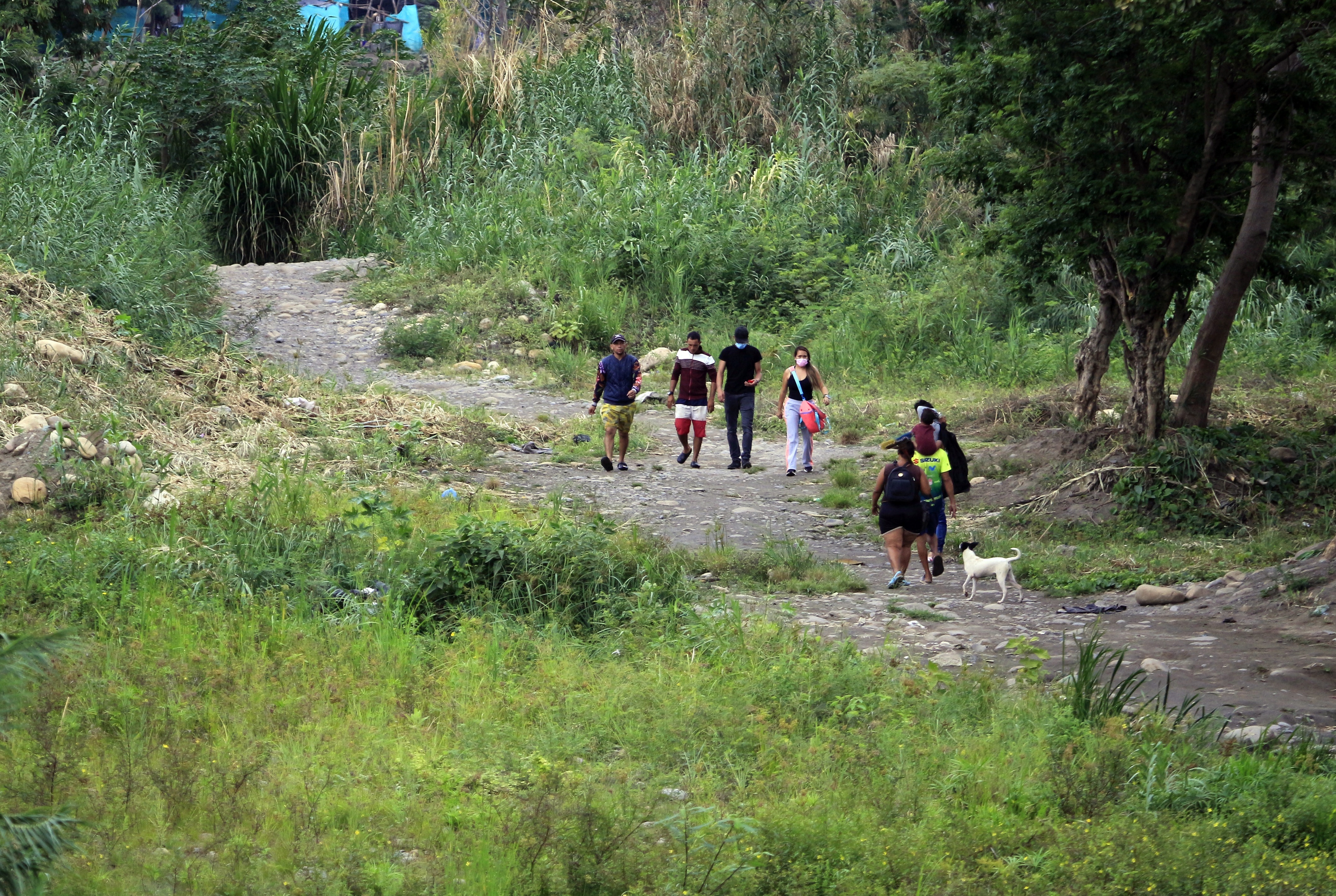 FundaRedes denunció aumento del 19% de homicidios en seis estados fronterizos