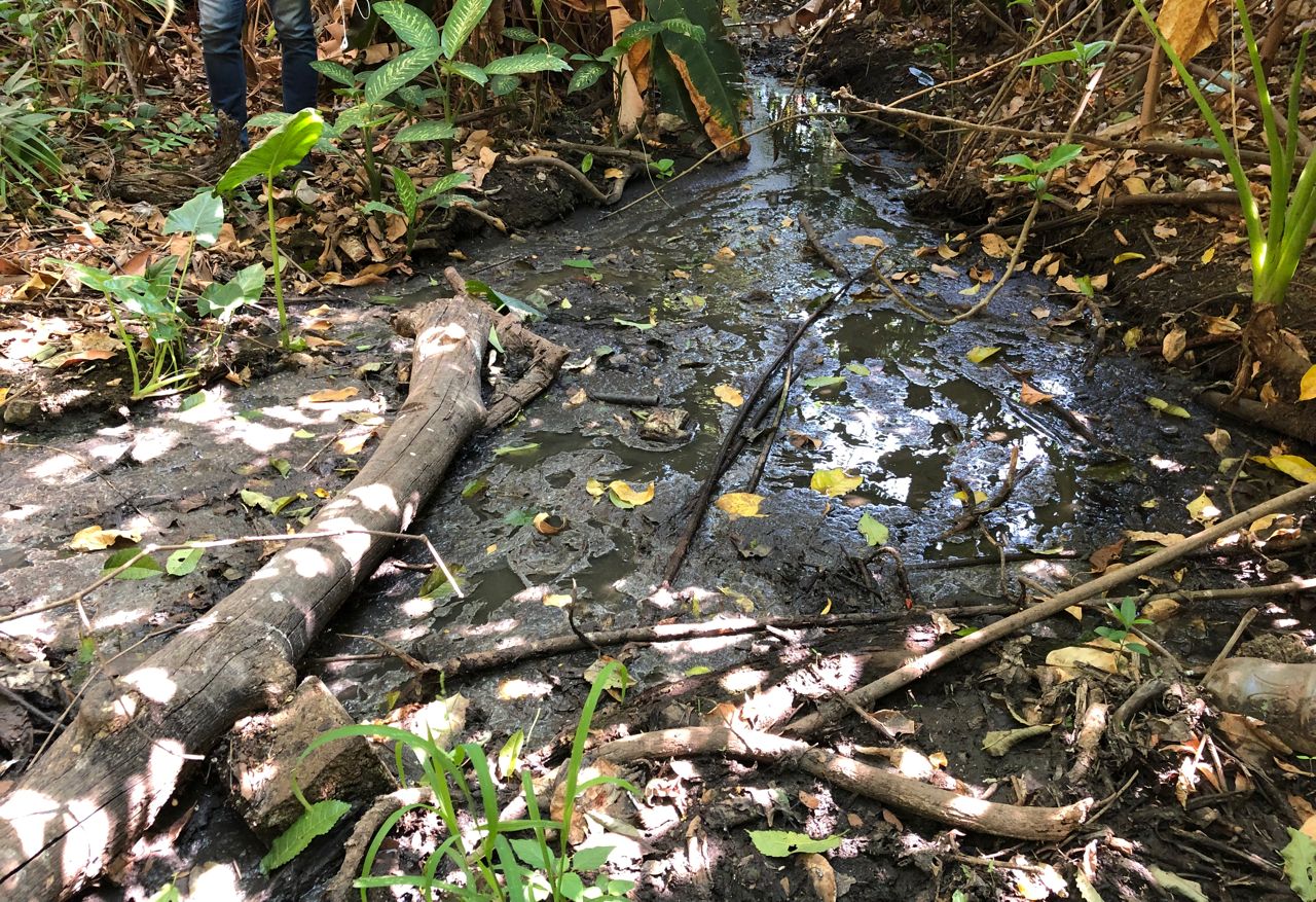 Si no era suficiente el virus de China… en Guárico sufren de plagas por agua cochina