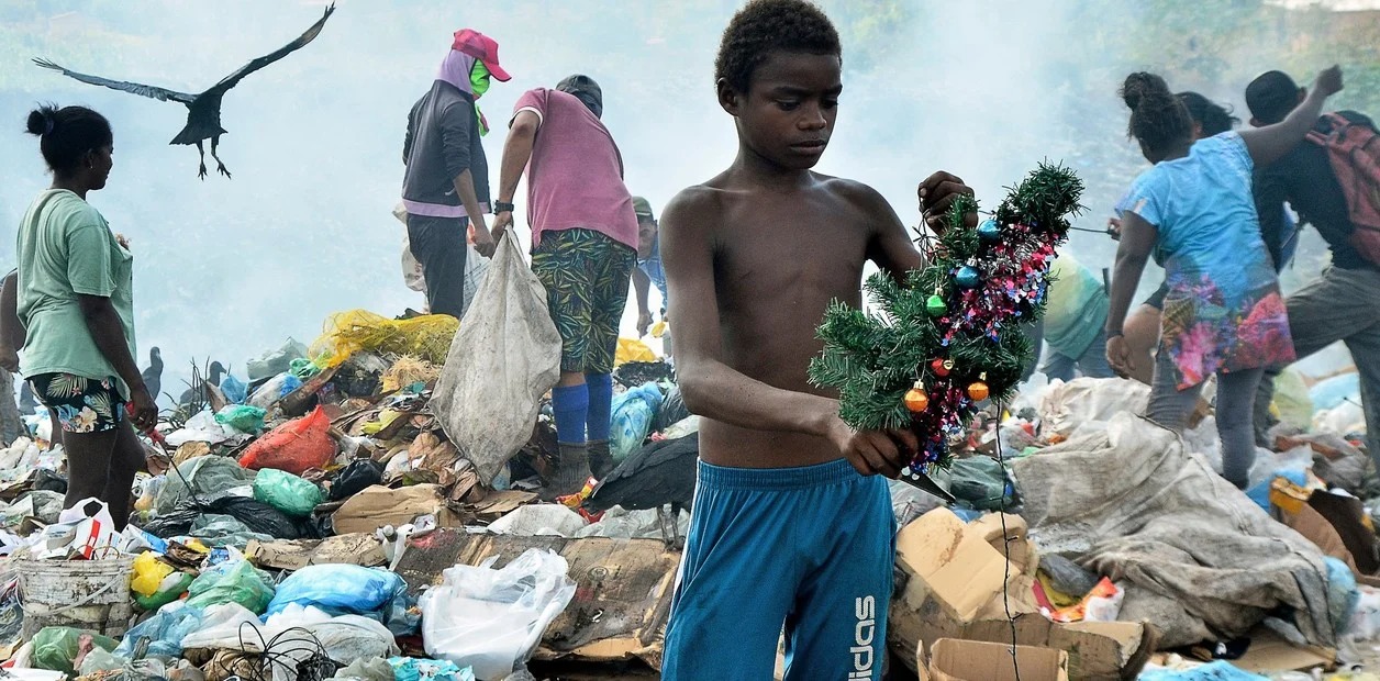 Buscaba comida en un basural y encontró un arbolito de Navidad que le cambió la vida