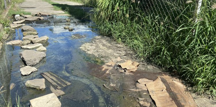 Familias en Maracay sobreviven entre aguas negras y escasa salubridad