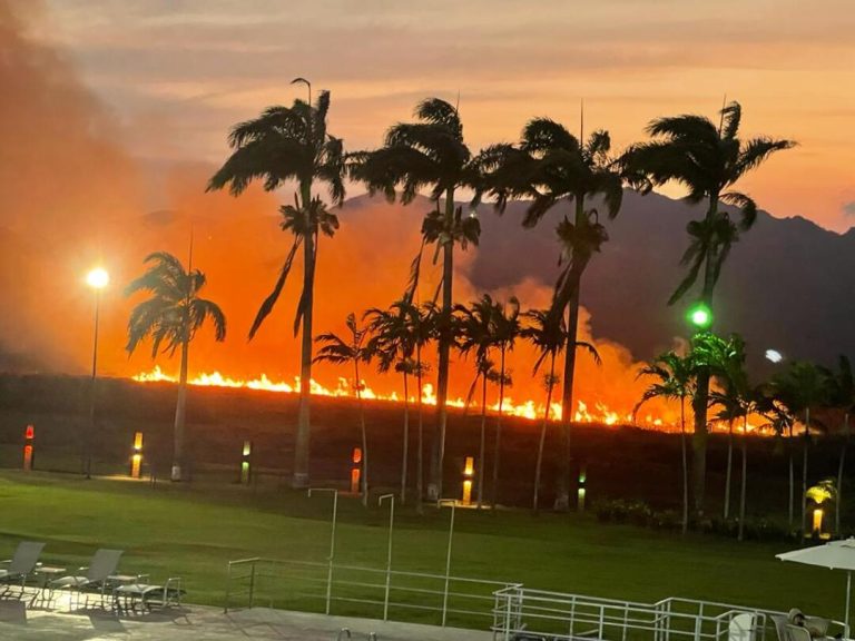 Un fuerte incendio forestal se registró en la urbanización Hato Royal de Guataparo en Valencia (Foto)